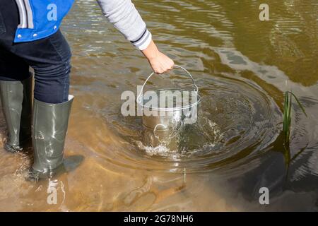 Eimer mit Wasser. Ein Mann zieht Wasser aus einem Teich. Wasser aus einem Reservoir nehmen. Eimer in der Hand. Der Typ hält das Gewicht. Stockfoto