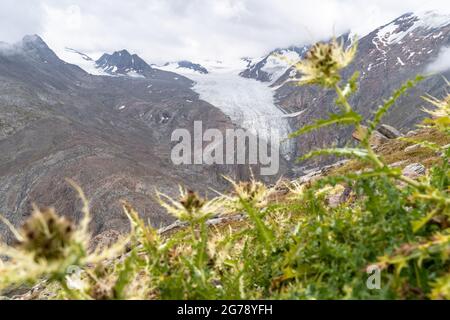 Europa, Österreich, Tirol, Ötztal Alpen, Ötztal, Obergurgl, Blick auf den Gurgler Ferner beim Aufstieg zum Ramolhaus Stockfoto