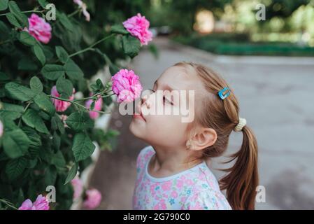 Kleines Mädchen mit Blumen, Porträt in der Nähe eines blühenden Rosenbusches, Nahaufnahme, horizontale Aufnahme. Sommerzeit. Sommerzeitkonzept, Mädchen schnuppert Blumen. Stockfoto