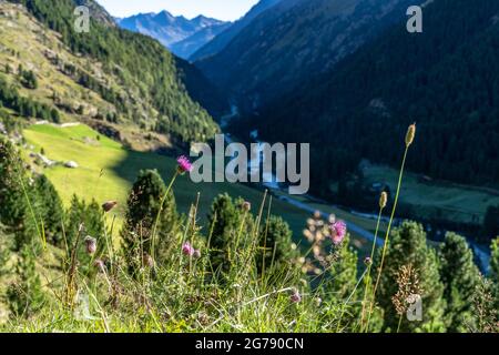Europa, Österreich, Tirol, Ötztal Alpen, Ötztal, Idyllischer Blick auf das schattige Venter Tal Stockfoto