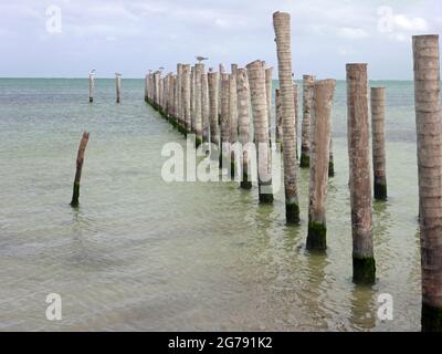 Caye Caulker, Belize, Mittelamerika Stockfoto