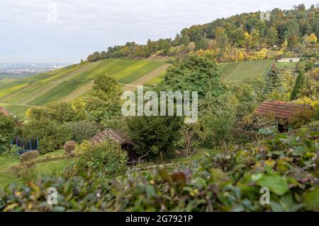 Europa, Deutschland, Baden-Württemberg, Stuttgart, Untertürkheim, Blick über die Schottergärten auf dem Kappelberg Stockfoto