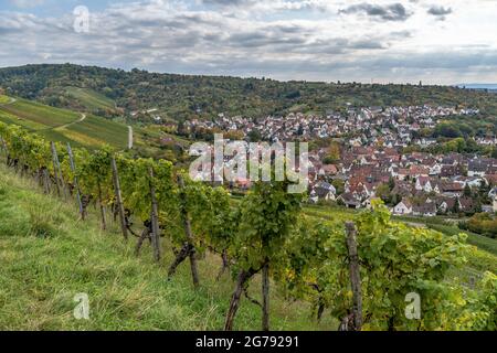 Europa, Deutschland, Baden-Württemberg, Stuttgart, Untertürkheim, Blick vom Rotenberg auf den idyllischen Uhlbach Stockfoto