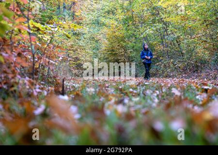 Europa, Deutschland, Baden-Württemberg, Stuttgart, Junge geht auf einem Laubwaldweg Stockfoto