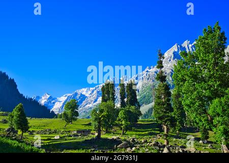 Wunderschöne Berglandschaft. Blauer Himmel, weiße Wolken, weißer Schnee. Ausführliche Reise auf dem Sonamarg Hill Trek in Jammu und Kaschmir, Indien, Juni 2018 Stockfoto