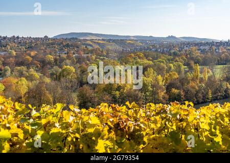 Europa, Deutschland, Baden-Württemberg, Stuttgart, Blick vom Weinberg über den baumbestandenen Park am Max-Eyth-See Stockfoto