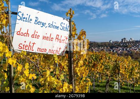 Europa, Deutschland, Baden-Württemberg, Stuttgart, neugieriges Zeichen in den Weinbergen oberhalb des Max-Eyth-See Stockfoto