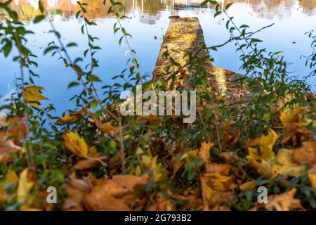 Europa, Deutschland, Baden-Württemberg, Stuttgart, Holzbrücke mit Blättern am Neckar Stockfoto