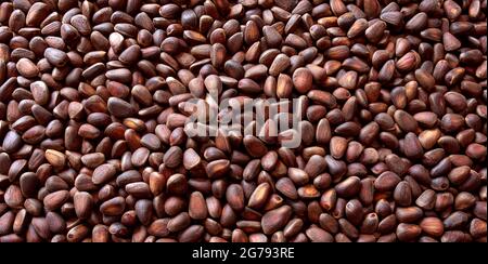 Hintergrund aus Zedernnüssen , Pinienkerne . Stockfoto