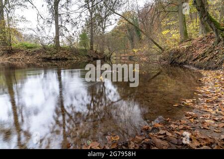 Europa, Deutschland, Baden-Württemberg, Remstal, Neckarrems, Herbststimmung auf dem Rems Fluss Stockfoto
