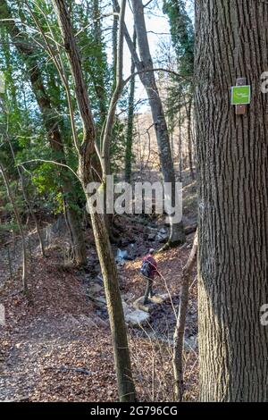 Europa, Deutschland, Baden-Württemberg, Schwäbische Alb, Neuffen, Wanderer auf dem Premium-Wanderweg 'hochgehkeltert' bei Neuffen Stockfoto