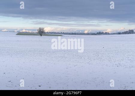 Europa, Deutschland, Baden-Württemberg, Heckengäu, Aidlingen, Winterliche Agrarlandschaft in Heckengäu Stockfoto