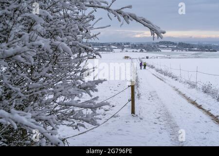 Europa, Deutschland, Baden-Württemberg, Heckengäu, Aidlingen, Mutter und Sohn auf einem verschneiten Wanderweg in Heckengäu Stockfoto