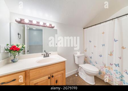 Geräumiges Badezimmer mit Waschbecken und geschlossenem Duschvorhang im Schmetterlingsdesign Stockfoto