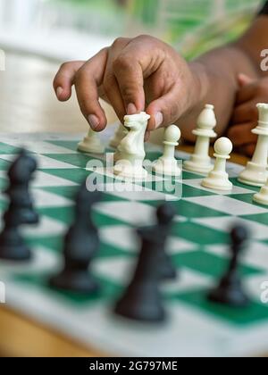 Schachspiel auf einem grünen Brett hält eine Hand einen weißen Ritter Stockfoto