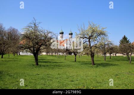 Deutschland, Bayern, Oberbayern, Tölzer Land, Benediktbeuern, Benediktbeuern Kloster, Klostergarten, Obstbäume, Obstwiese, Basilika Stockfoto