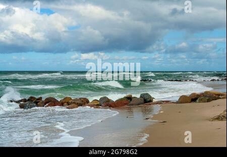 Dänemark, Insel Seeland, Gribskov-Tisvilde, Tisvildeleje, das Küstengebiet im Norden von Tisvilde, Sandstrand der größten Ostseeinsel, die Insel Sjaelland = Insel Seeland. Stockfoto