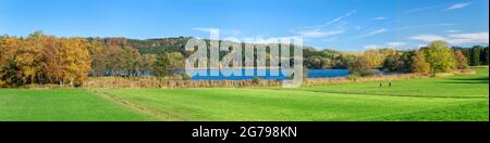 Deutschland, Baden-Württemberg, Illmensee, Herbstlandschaft am Illmensee. Der Illmensee liegt im FFH-Gebiet 8122-342 'Pfrunger Ried und Seen bei Illmensee'. Im Naturschutzgebiet liegt das eiszeitliche Seeplateau mit dem Illmensee, dem Ruschweiler See und dem Volzer See. Stockfoto