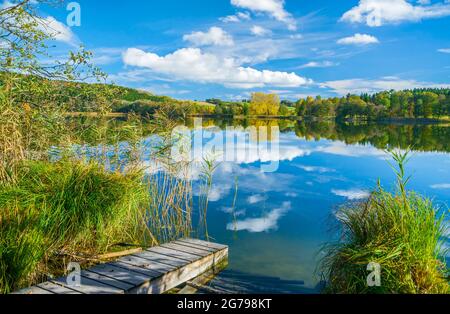 Deutschland, Baden-Württemberg, Illmensee, Herbstlandschaft am Illmensee. Der Illmensee liegt im FFH-Gebiet 8122-342 'Pfrunger Ried und Seen bei Illmensee'. Im Naturschutzgebiet liegt das eiszeitliche Seeplateau mit dem Illmensee, dem Ruschweiler See und dem Volzer See. Stockfoto