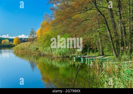 Deutschland, Baden-Württemberg, Illmensee, Ruschweiler, Fischerboote auf dem Ruschweiler See. Der See befindet sich im FFH-Gebiet 8122-342 'Pfrunger Ried und Seen bei Illmensee'. Im Naturschutzgebiet liegt das eiszeitliche Seeplateau mit dem Illmensee, dem Ruschweiler See und dem Volzer See. Stockfoto