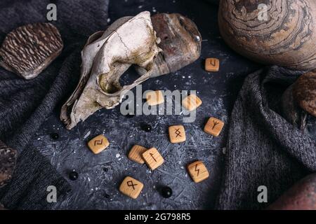 Alter Hundeschädel, Holzrunen und Steine auf dem Hexentisch. Stockfoto