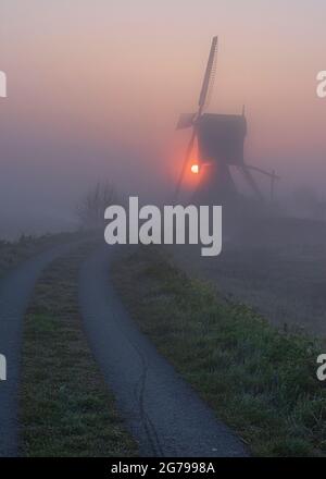 Impressionen einer Frühlingswanderung bei Sonnenaufgang und Nebel in Südholland in der Region Alblasserwaard Vijfheerenlanden bei Kinderdijk: Windmühle bei Sonnenaufgang und Nebel. Stockfoto