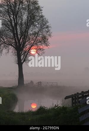 Eindrücke einer Frühlingswanderung bei Sonnenaufgang und Nebel in Südholland in der Region Alblasserwaard Vijfheerenlanden bei Kinderdijk: Die aufgehende Sonne spiegelt sich im Wasser; Polderlandschaft mit Baum und Holzzäunen. Stockfoto