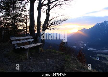 Sonnenaufgang in Krepelschrofen bei Wallgau, Sitzplätze warten auf die ersten Besucher, Buche vor Sonnenaufgang, Europa, Deutschland, Bayern, Oberbayern, Isartal, Werdenfelser Land, Wallgau Stockfoto