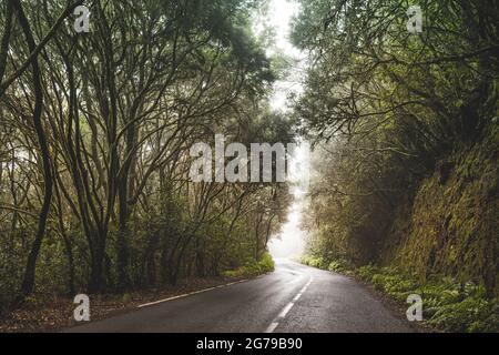 Straße im Lorbeerwald auf La Gomera Stockfoto