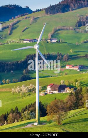 Waidhofen an der Ybbs, Bauernhäuser, blühende Birnenbäume, Wiesen, Windturbine in der Region Mostviertels, Niederösterreich / Niederösterreich, Österreich Stockfoto