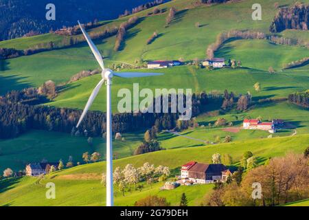 Waidhofen an der Ybbs, Bauernhäuser, blühende Birnenbäume, Wiesen, Windturbine in der Region Mostviertels, Niederösterreich / Niederösterreich, Österreich Stockfoto