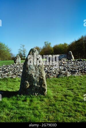 Ansicht S of Loanhead of Daviot Liegeradter Steinkreis, Aberdeenshire, Schottland, Großbritannien, zeigt einen Teil des Kreises mit einem Liegerad, zwei Flankern und einem Käfig. Stockfoto