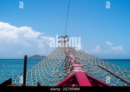 Bootsfahrt von Buzios, Brasilien Stockfoto