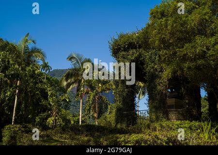 Blick auf den Corcovado-Berg und die Christusstatue vom Botanischen Garten Rio de Janeiro oder Jardim Botânico im Stadtteil Jardim Botânico in der südlichen Zone von Rio de Janeiro. Der Botanische Garten zeigt die Vielfalt der brasilianischen und ausländischen Flora. Stockfoto