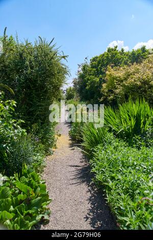 Krautige Grenzen in voller Blüte während der Sommermonate in einem britischen Garten. Stockfoto