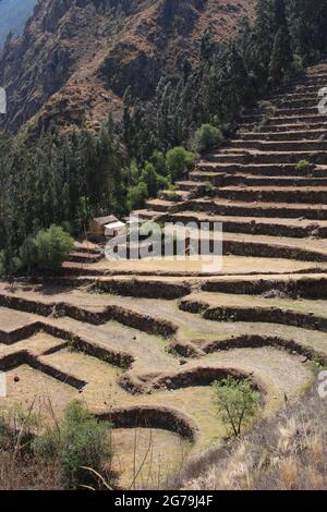 Bauernterrassen und ein Haus, das an der Seite des Patacancha-Gebirges in den peruanischen Anden gebaut wurde Stockfoto