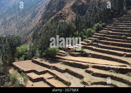 Bauernterrassen und ein Haus, das an der Seite des Patacancha-Gebirges in den peruanischen Anden gebaut wurde Stockfoto