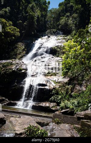 Wunderschöner Wasserfall namens 'Cascatinha Taunay' auf grüner Natur im atlantischen Regenwald, Tijuca Forest National Park in Alto da Boa Vista, Rio de Janeiro, Brasilien Stockfoto