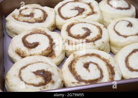 Schweizer Schokoladenbrötchen Stockfoto