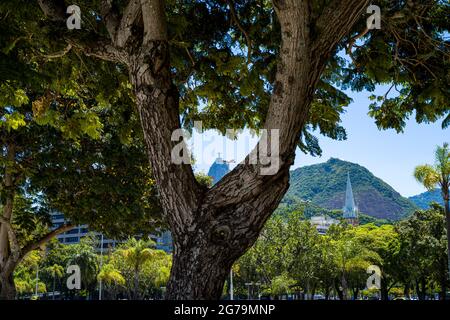 Blauer Himmel Blick auf den Corcovado mit Christo Redentor und Stadtbild mit Wolkenkratzern von Botafogo in Rio de Janeiro, Brasilien. Shot mit Leica M 10. Stockfoto