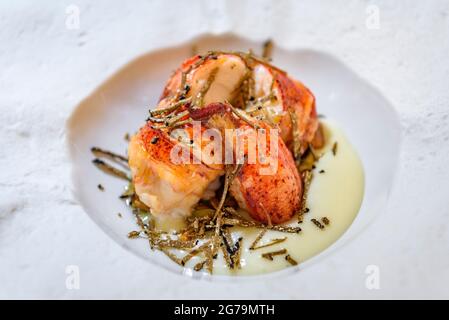 Gericht aus dem Restaurant Fonda Sala in Olost, das einen Michelin-Stern hat (Olost, Barcelona, Katalonien, Spanien) ESP.: Plato del Restaurante Fonda Sala Stockfoto