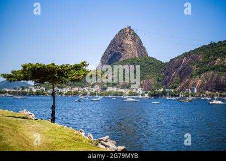 Blauer Himmel auf dem Zuckerhut (PÃ£o de Açúcar) vom Parque do Flamengo in der Nähe von Botafogo in Rio de Janeiro, Brasilien. Aufgenommen mit Leica M10 Stockfoto