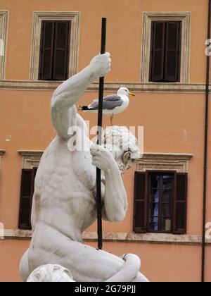 Eine Taube steht noch auf dem Kopf einer Marmorstatue eines Brunnens auf der Piazza Navona im Zentrum von Rom. Stockfoto