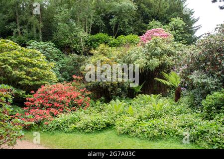 Steinbruch-Garten Der Belsay Hall Stockfoto