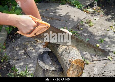 Junge Hände schneiden Holz mit alten rostigen Quersäge. Stockfoto