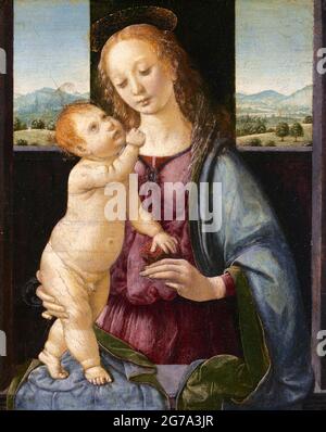 Madonna mit Kind mit Granatapfel von Lorenzo di Credi (ca. 1456–1537), Öl auf Pappel, c. 1475-80 Stockfoto