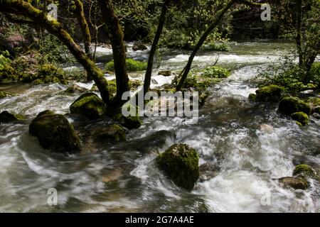 Wasserwelt in der Areuse Gorge Stockfoto