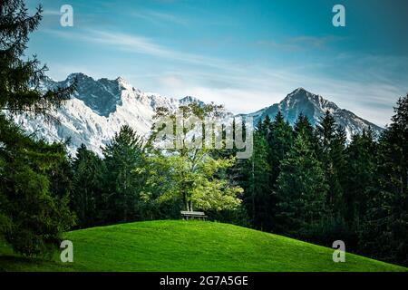 Ruhepause auf einem Baum bei Oberstdorf im Allgäu Stockfoto