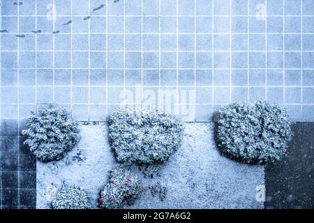 Deutschland, Baden-Württemberg, Karlsruhe, schneebedeckter Innenhof einer Wohnanlage. Stockfoto