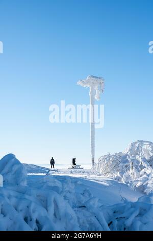 Deutschland, Baden-Württemberg, Schwarzwald, Hornisgrinde, umgekehrter Baumstamm mit Wurzeln. Stockfoto